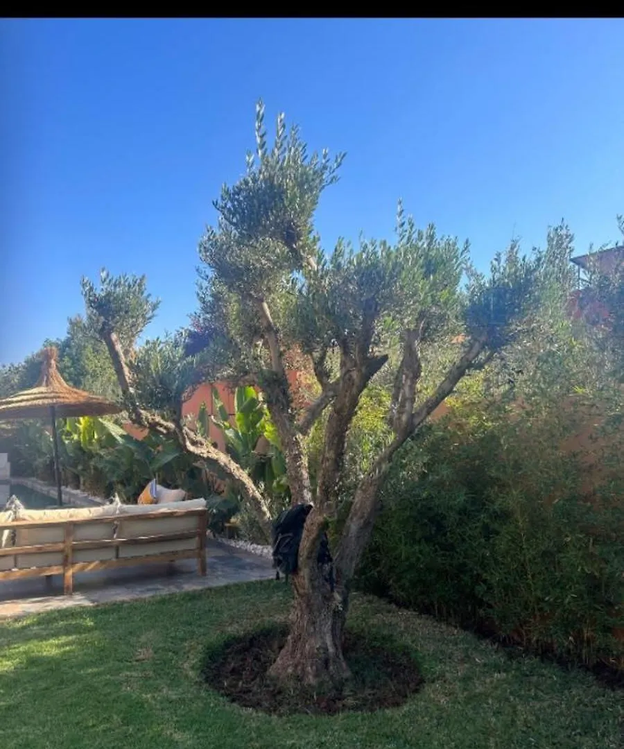 Villa Dar Zwina Amlkis Marrakesh